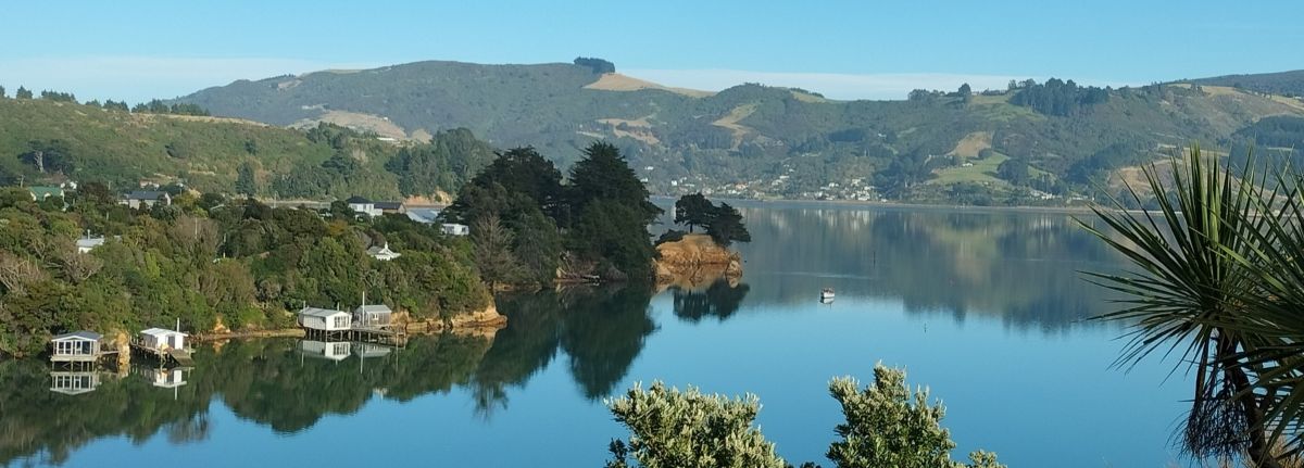 View from Kanuka Cottage