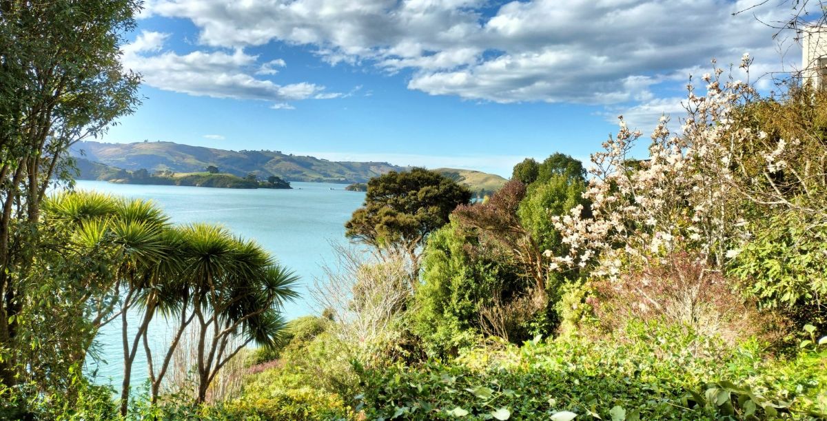 Courtyard view from The Studio